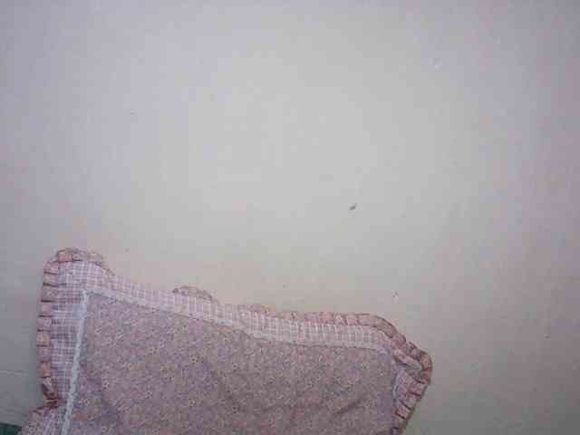 Angellily1