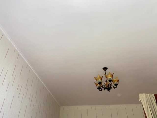 Preview of shontadwane