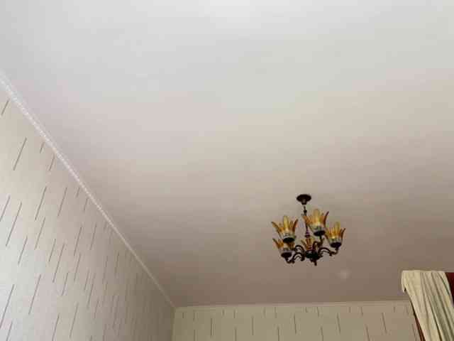 Modèle: ShontaDwane