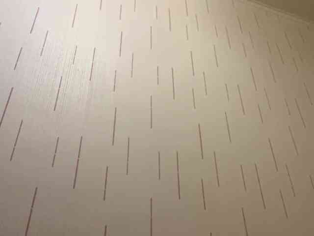 Modèle: ShontaDwane