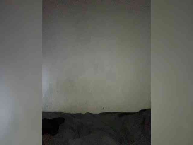 Wallis webcam