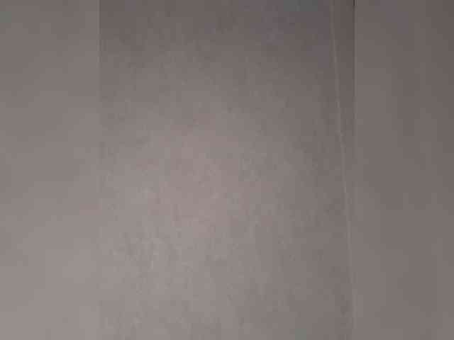 EvaLatu webcam