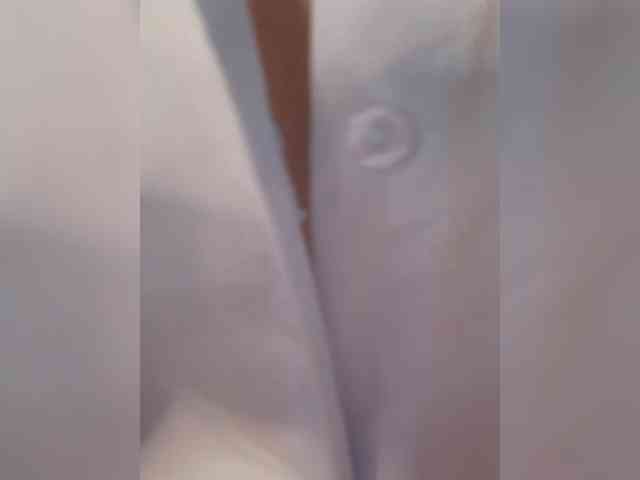 EvaLatu webcam