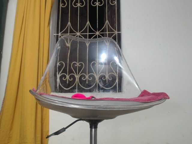 Maila88a
