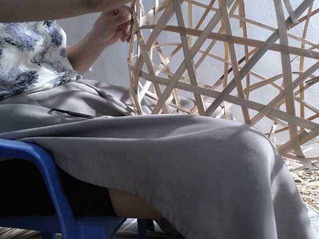 Maila88a