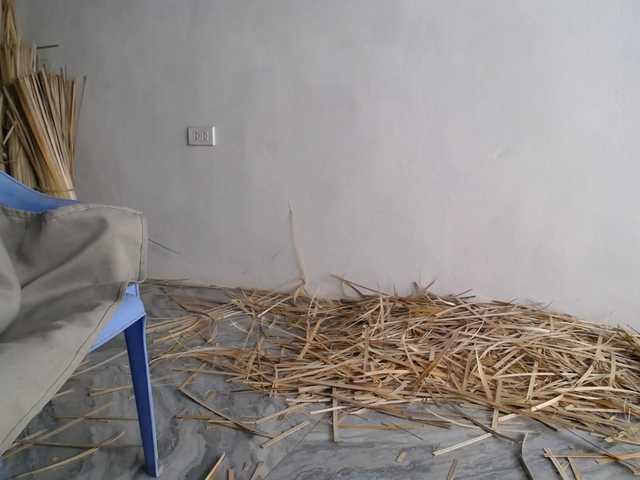 Maila88a