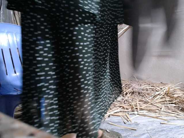 Maila88a