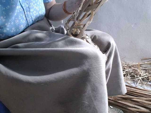 Maila88a