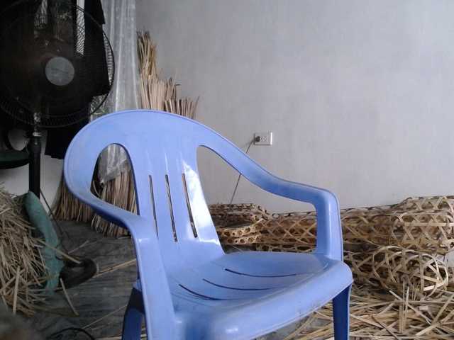 Maila88a