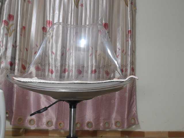 Maila88a