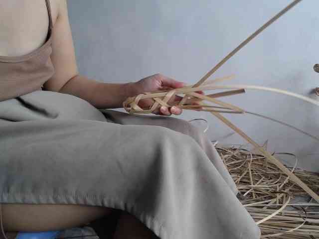 Maila88a webcam