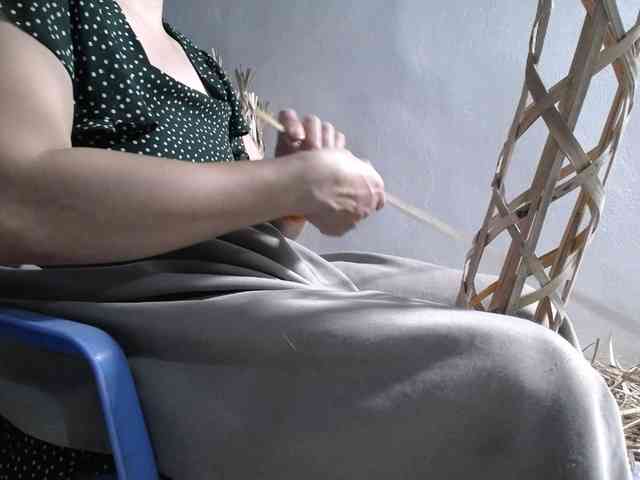 Maila88a webcam