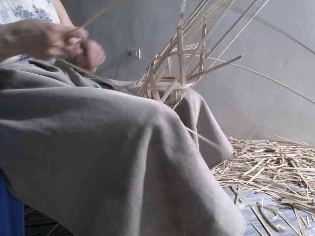 Maila88a webcam