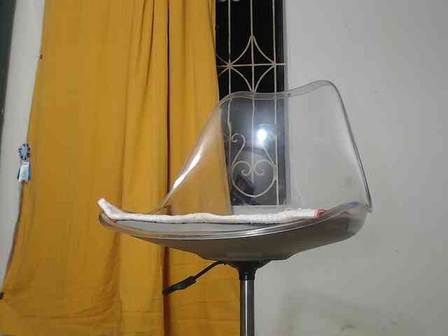 Maila88a webcam