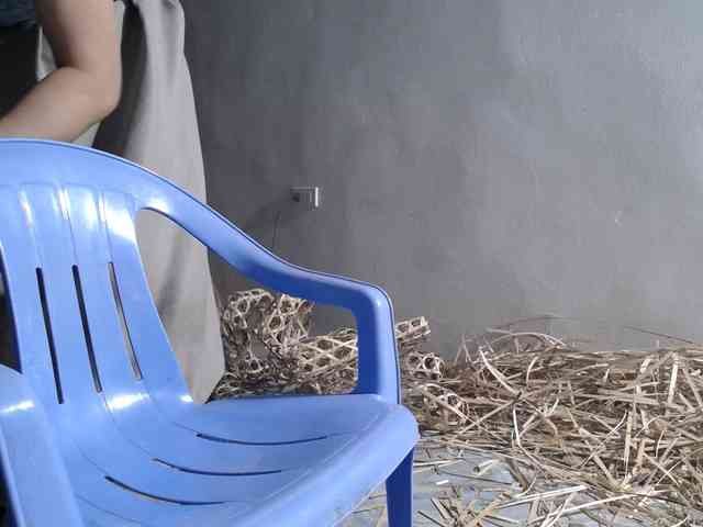 Maila88a webcam