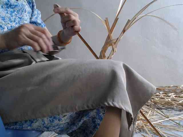 Maila88a webcam