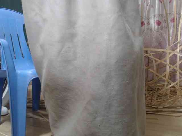 Maila88a webcam