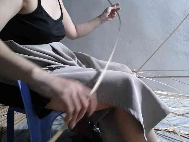 Maila88a webcam