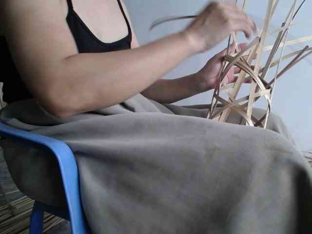 Modelo: Maila88a