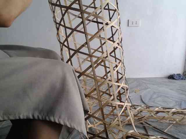 Maila88a webcam