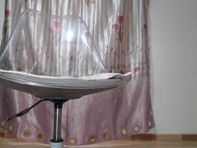 Maila88a webcam