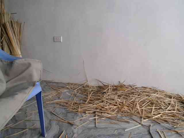 Maila88a webcam
