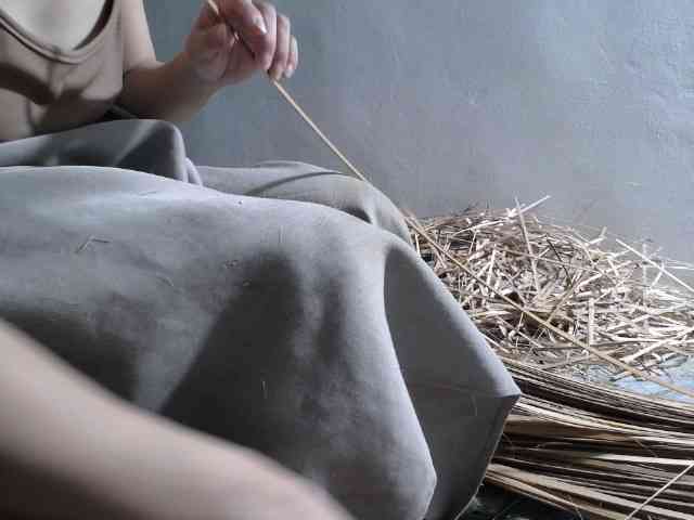Maila88a webcam