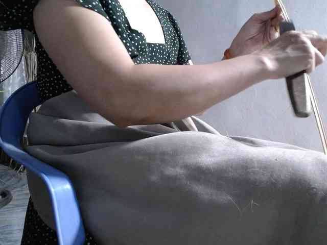Maila88a webcam