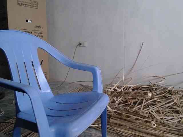 Maila88a webcam