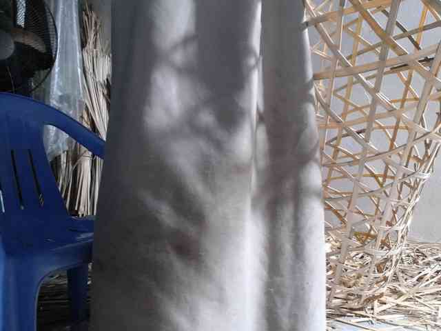 Maila88a webcam