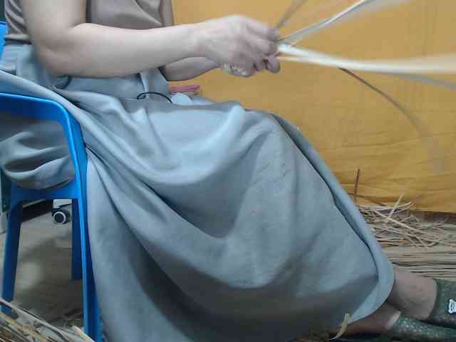 Maila88a webcam