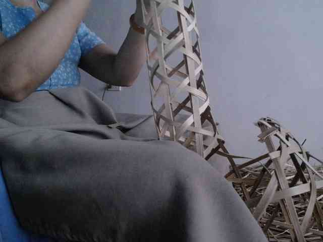 Maila88a webcam