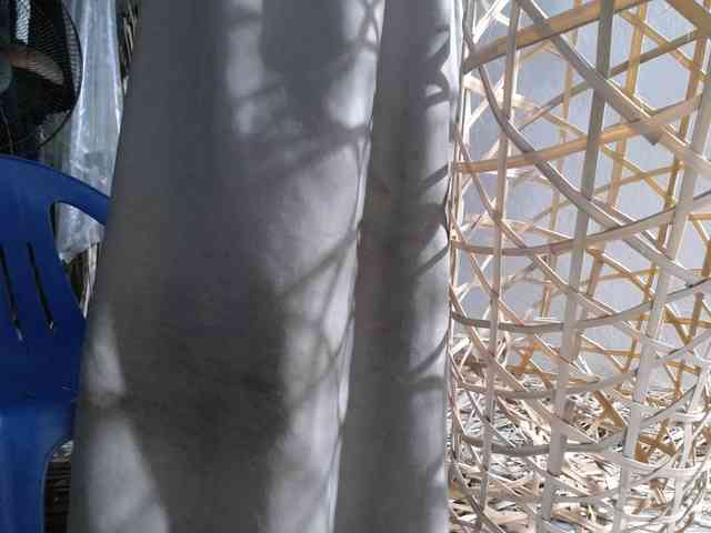 Maila88a webcam