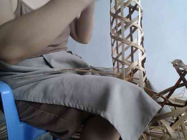 Maila88a webcam