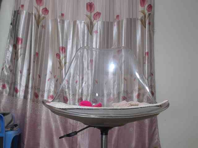 Maila88a webcam