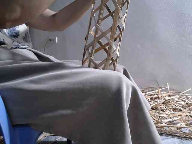 Maila88a webcam