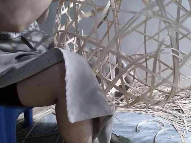 Maila88a webcam