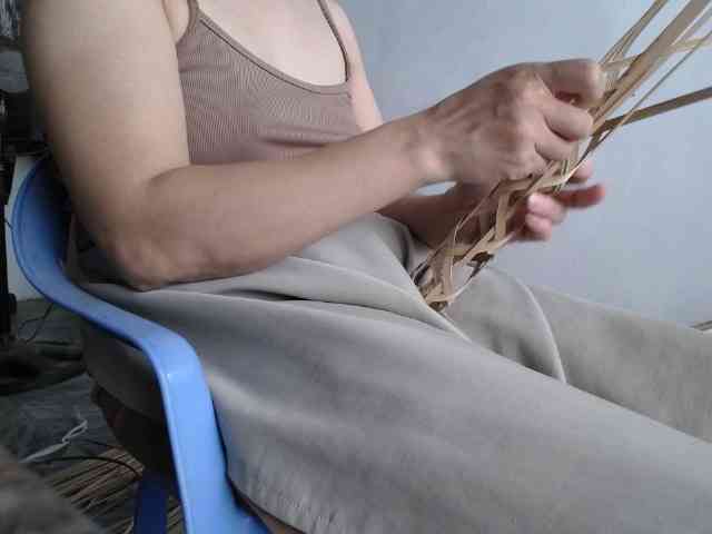 Maila88a webcam