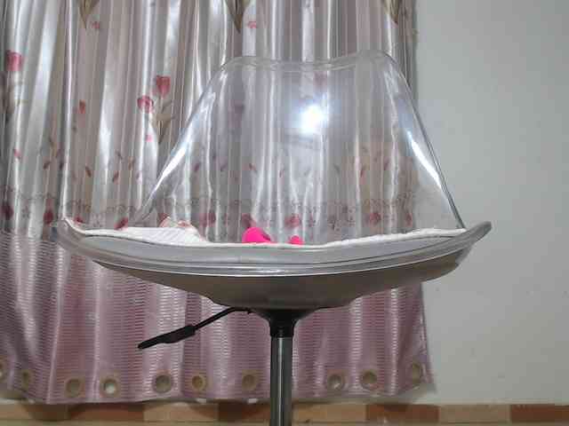 Maila88a webcam