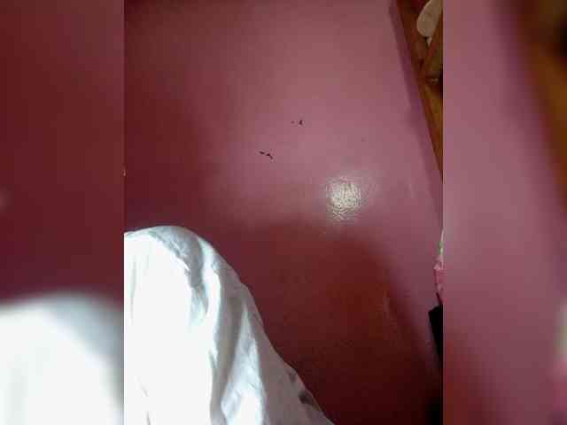 Rudih webcam