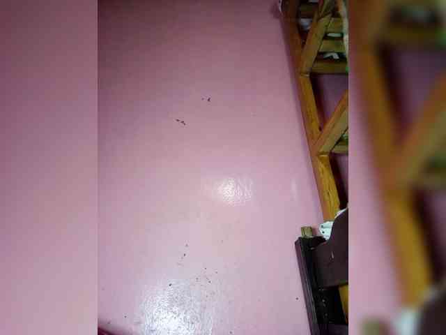 Rudih webcam