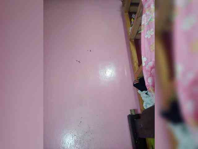 Rudih webcam