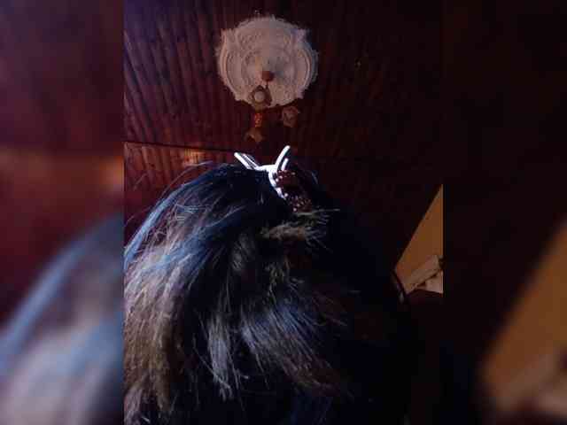 Rudih webcam