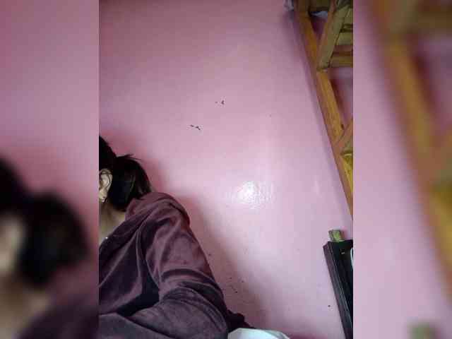 Rudih webcam