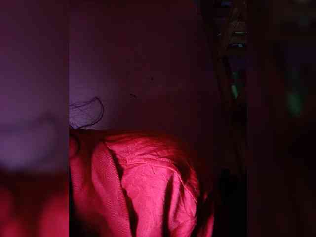 Rudih webcam