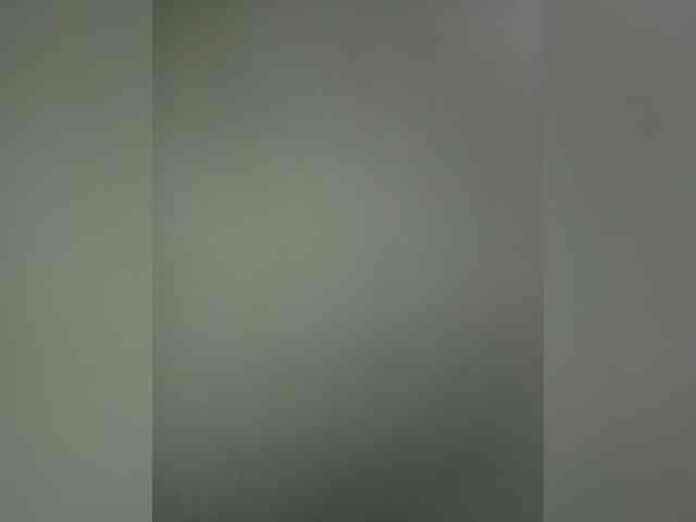 Rudih webcam