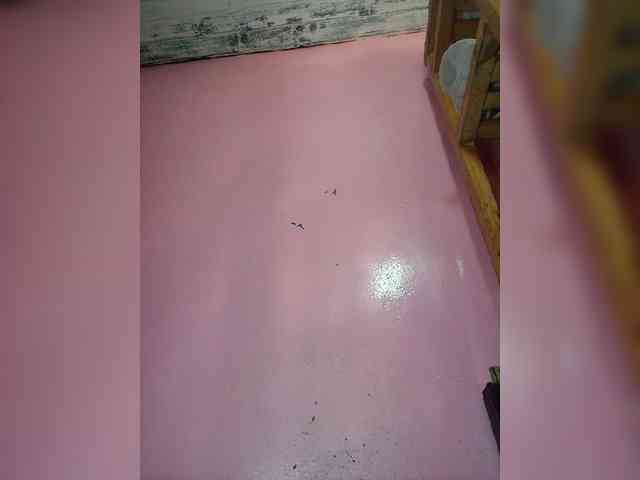 Rudih webcam