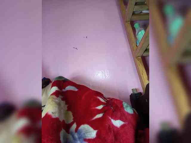 Rudih webcam