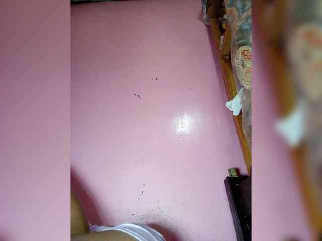 Rudih webcam