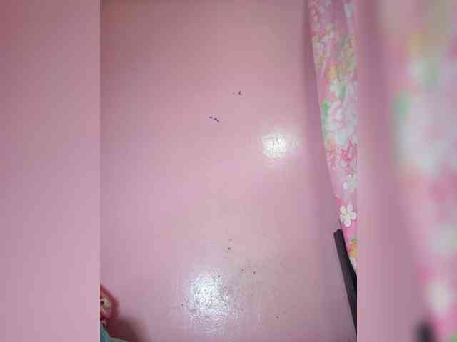 Rudih webcam